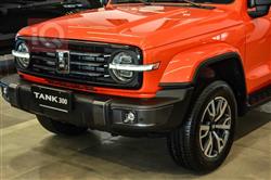 GWM TANK 300